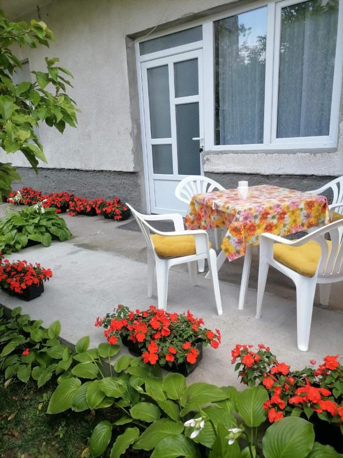 Pavicevic Apartment Soko Banja Exterior foto