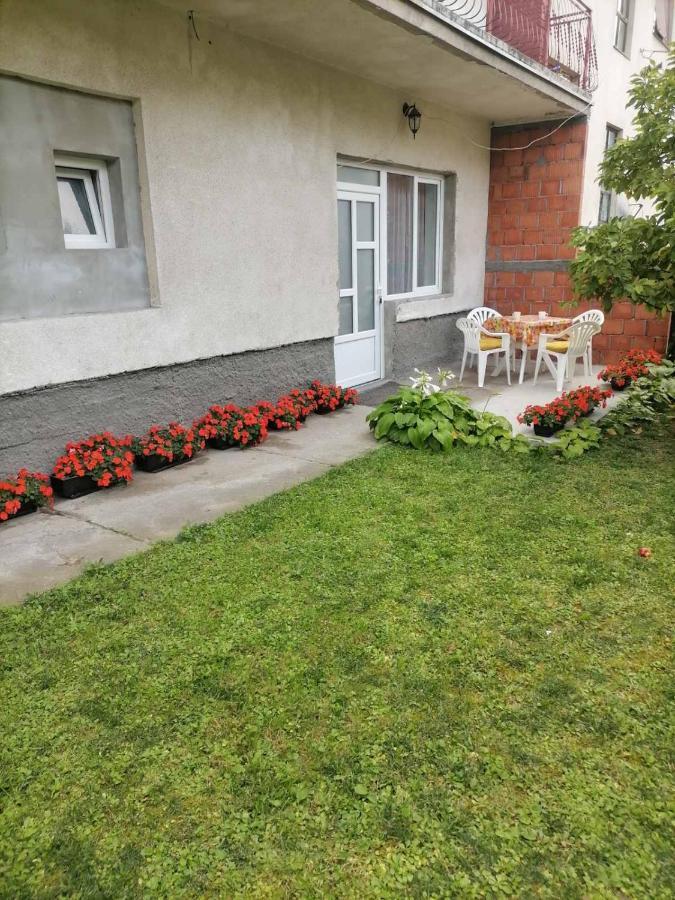 Pavicevic Apartment Soko Banja Exterior foto