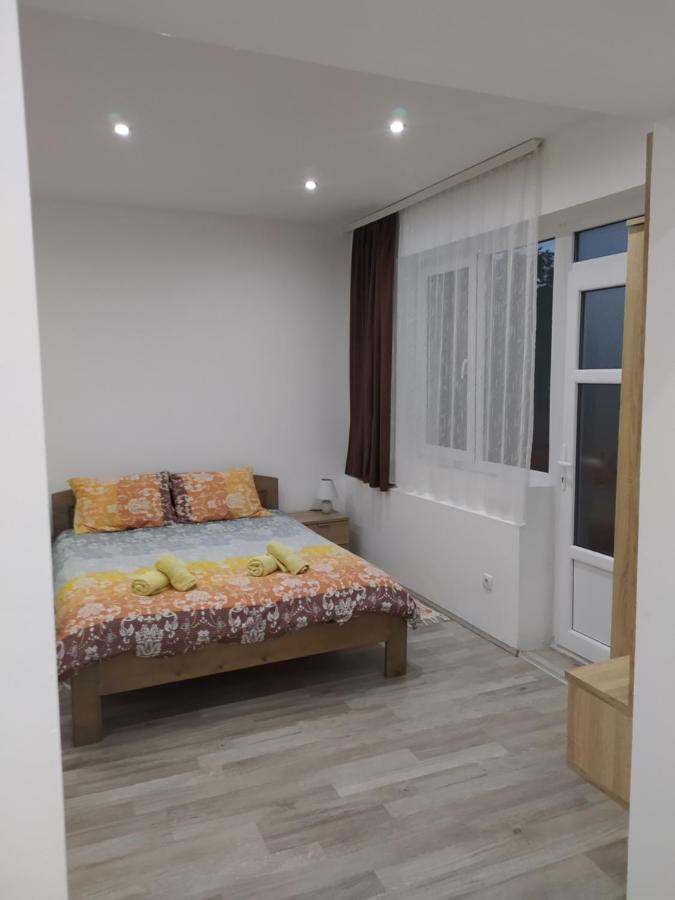 Pavicevic Apartment Soko Banja Exterior foto